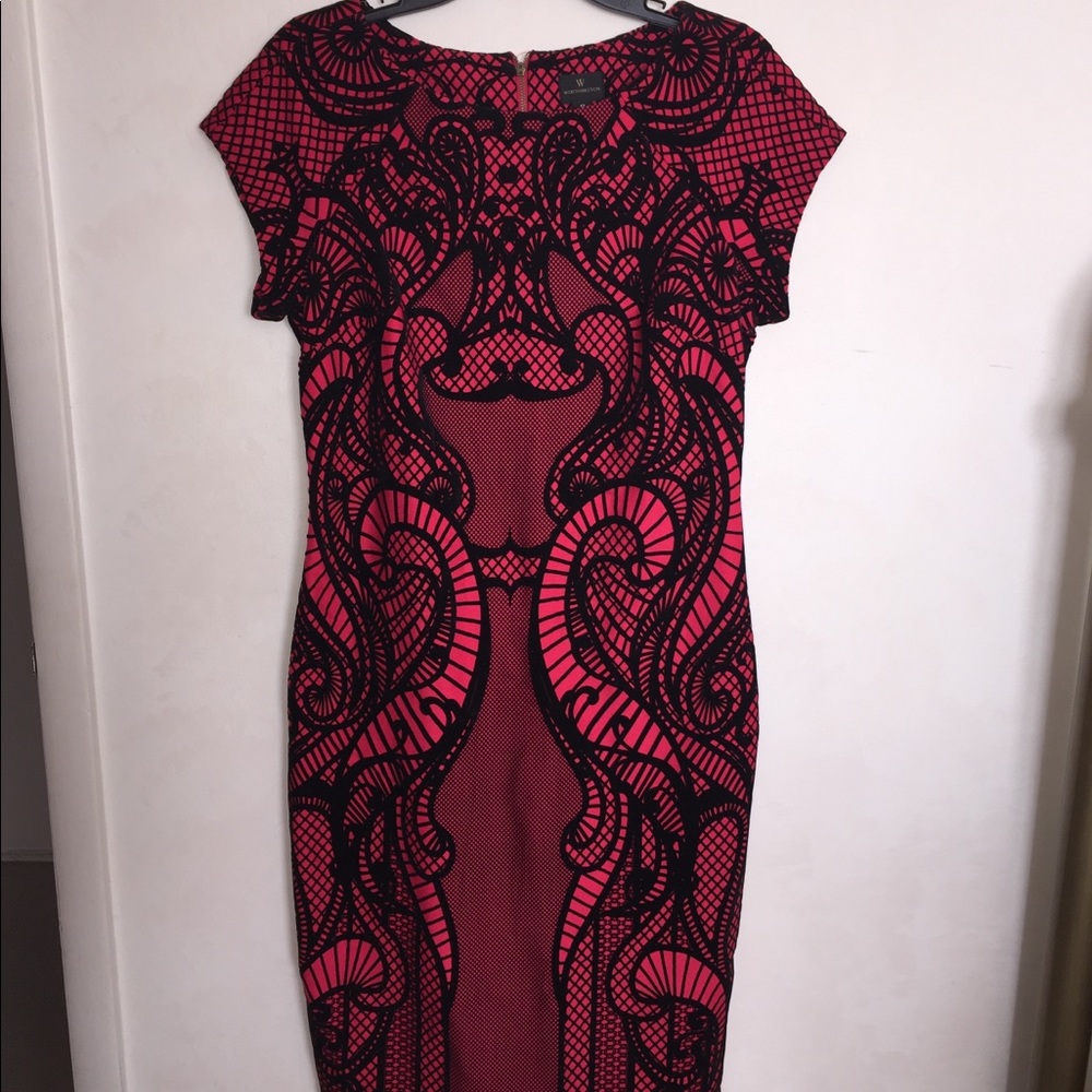 Beautiful Dress wit Velvet Designs